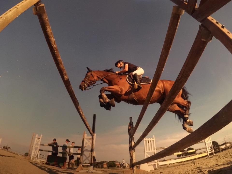 saut d'obstacle 