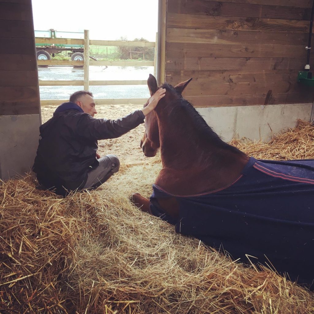 pension convalescence cheval
